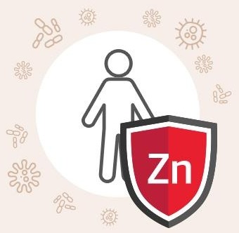 세균과 바이러스에 둘러싸인 사람 앞을 Zn 이 적힌 빨간 방패가 막고 있는 그림
