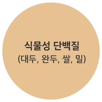 식물성 단백질 (대두, 완두, 쌀, 밀)