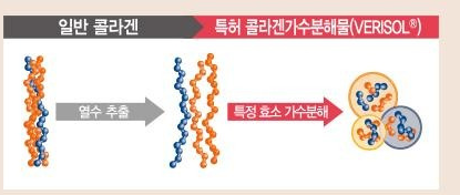 공정 도식. 왼쪽 회색 띠는 일반 콜라겐, 오른쪽 빨간 띠는 특허 콜라겐가수분해물(VERISOL®) 이고, 굵은 콜라겐 가닥이 열수 추출 화살표를 지나 가는 가닥이 되고 다시 특정 효소 가수분해 화살표를 지나 작은 조각으로 나뉜다