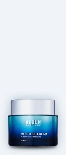 알로엔 더블루 모이스처 크림 단지